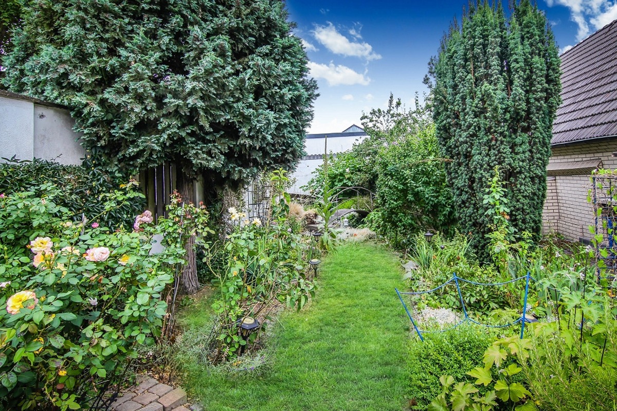 Garten im hintern Bereich