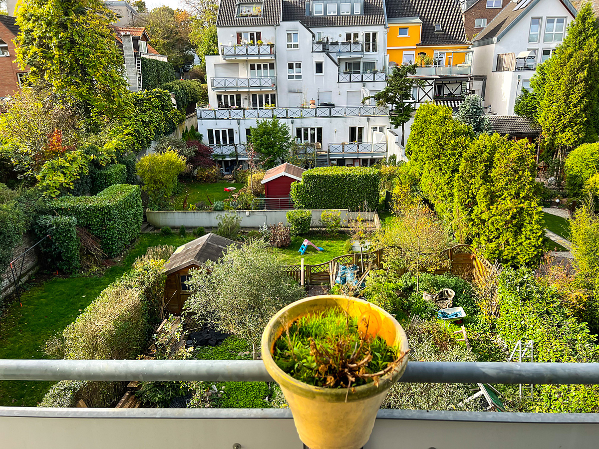 Ausblick Gemeinschaftsgarten